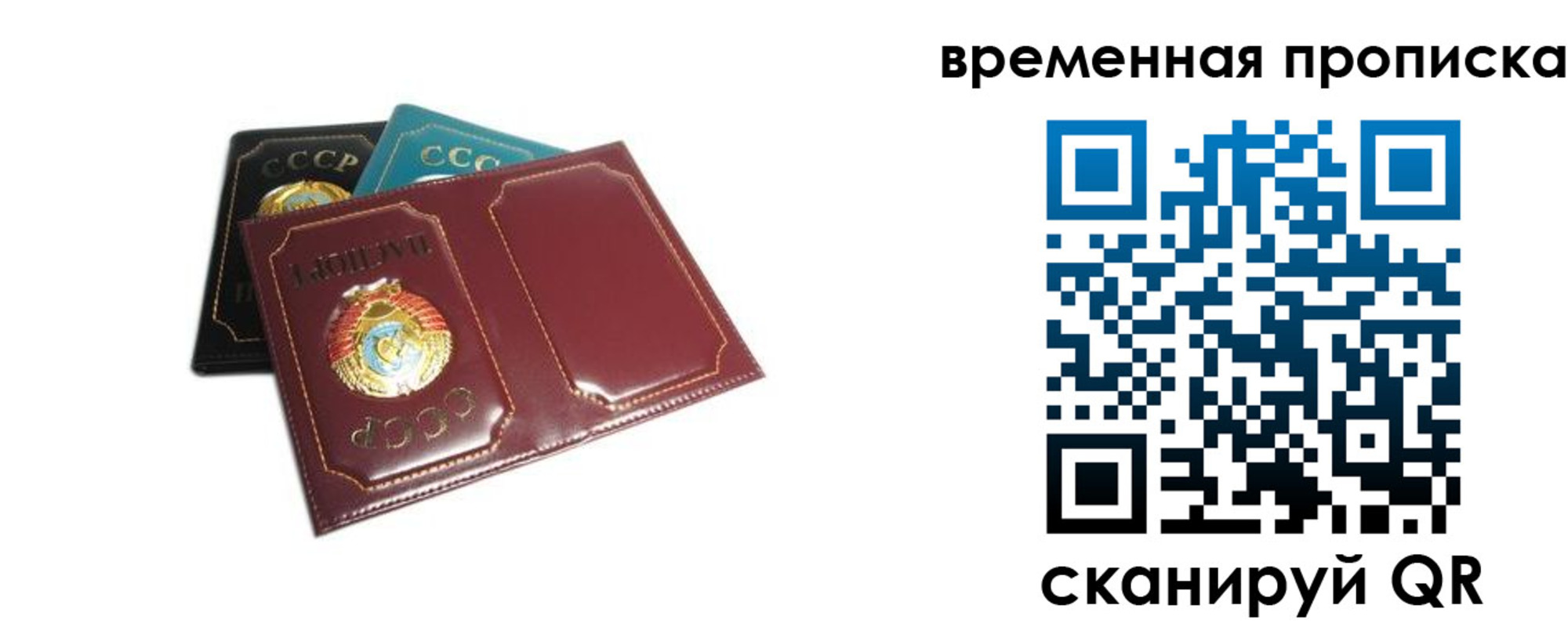 прописка 2025 в Жукове